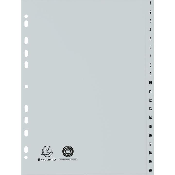 Produktbild Exacompta Register
