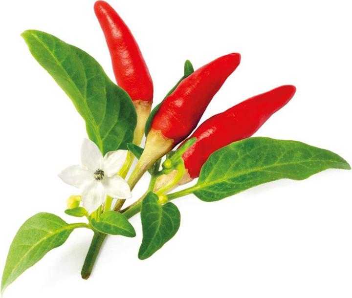 Click and Grow Seeds Red hot chilli (Vegetable seeds)