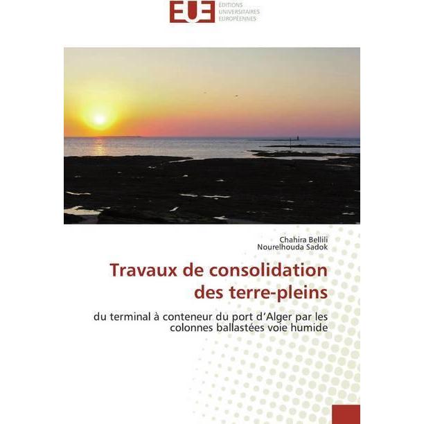 Travaux de consolidation des terre-pleins, Fachbücher von Chahira Bellili, Nourelhouda Sadok