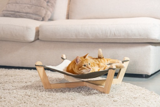 Image du produit Designed by Lotte Gaia (Chat)
