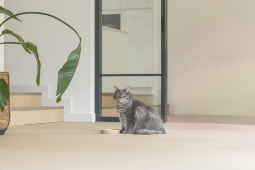 Immagine prodotto Designed by Lotte Jace (35 cl)