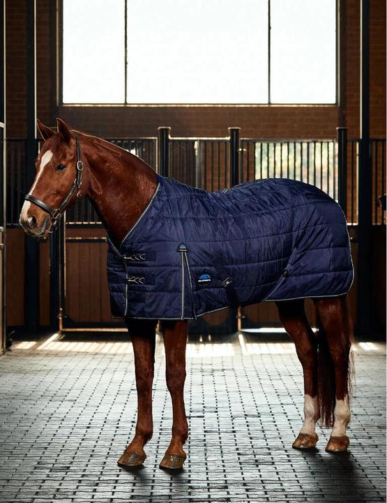 Weatherbeeta ComFiTec PP Channel Quilt II 220g
