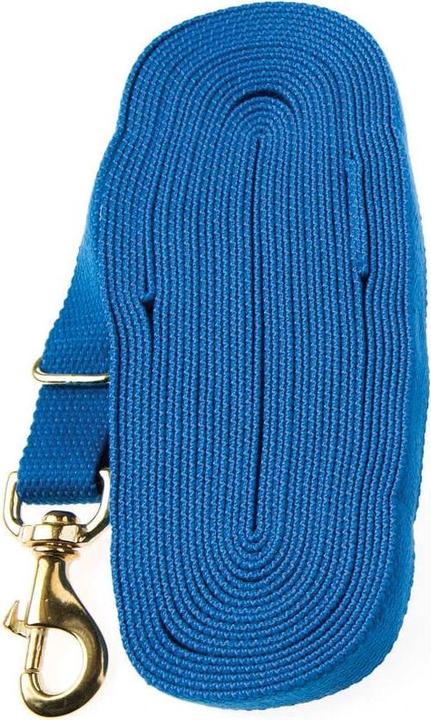 Kincade Long reins for horse riding