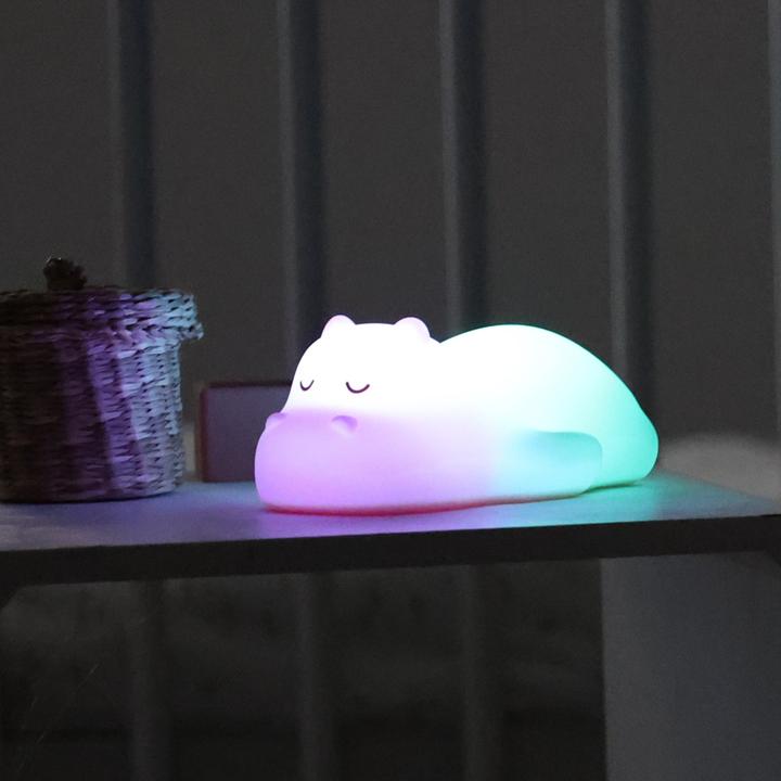 Image du produit Nattou Hippo