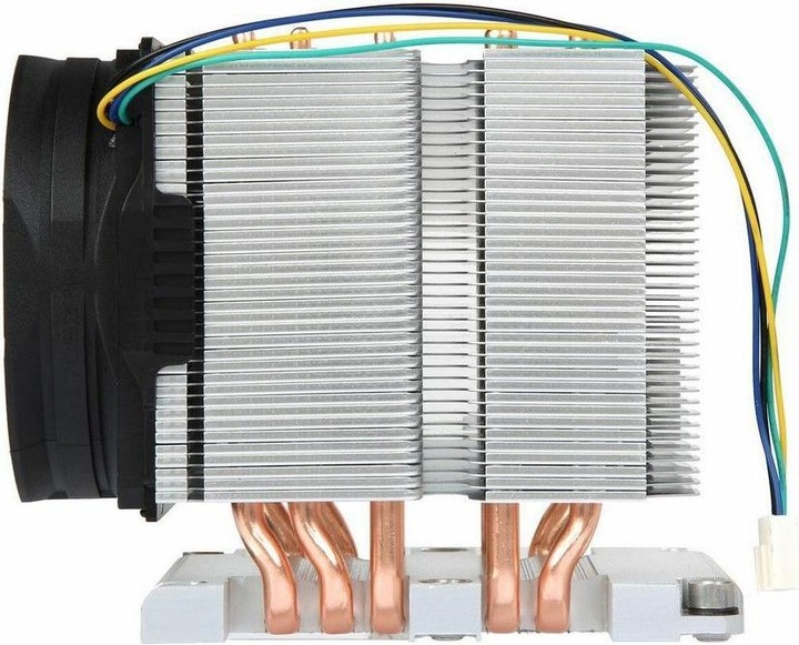 Productafbeelding Intertech B-11 actief LG 3647 NARROW (80 mm)