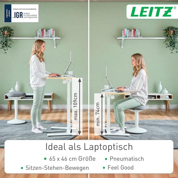 Immagine prodotto Leitz Workstation Ergo (65 x 46 x 109 cm)