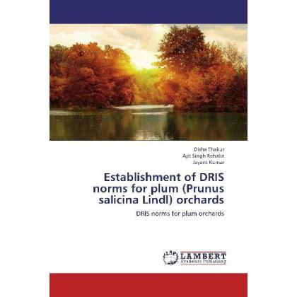 Input handling in agent based micro level simulators, Fachbücher von Muhammad Saleem Fayyaz