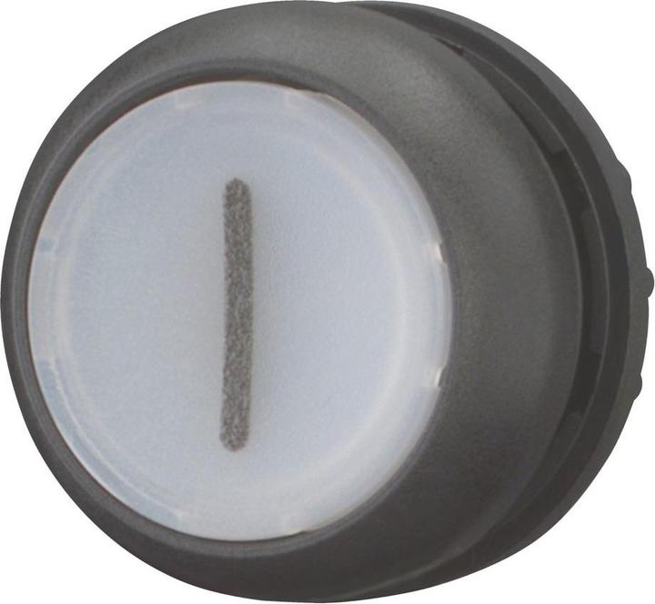 Actual product image Eaton Illuminated pushbutton flat white inscribed M22S-DL-W-X