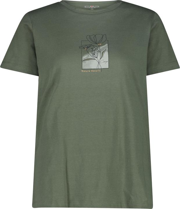 Alligator, olive