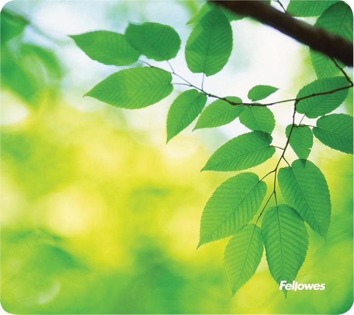 Fellowes Bladeren (S)