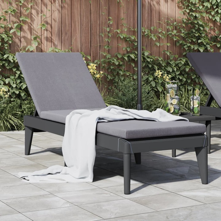 Actual product image VidaXL Sonnenliege Anthrazit 186x60x29 cm PP,Farbe: Anthrazit (186 cm)