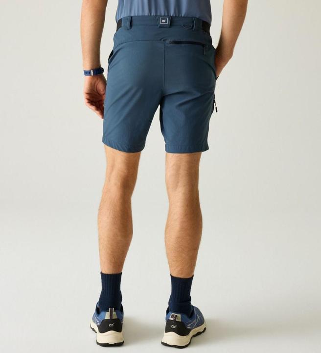 Produktbild Regatta M's Anti-Insect Travel Light Shorts (30, 38)