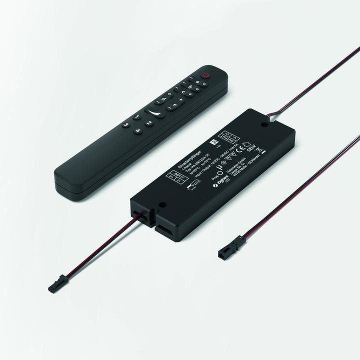 Actual product image Halemeier Radio remote control S-Mitter Smart 12 / 24 V