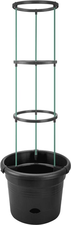 Actual product image Elho Green Basics Tomato Pots (33.50 cm)