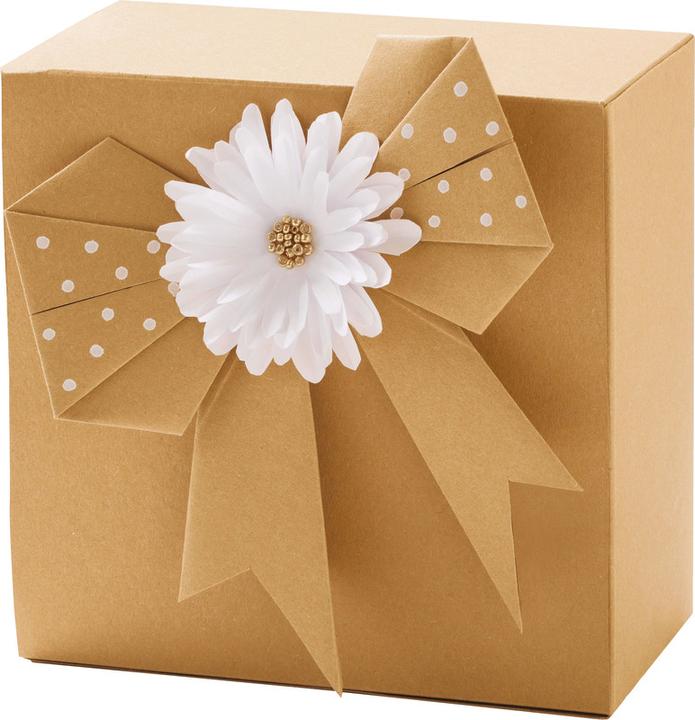 Actual product image Folia Kraft paper (120 g/m², 1 x)