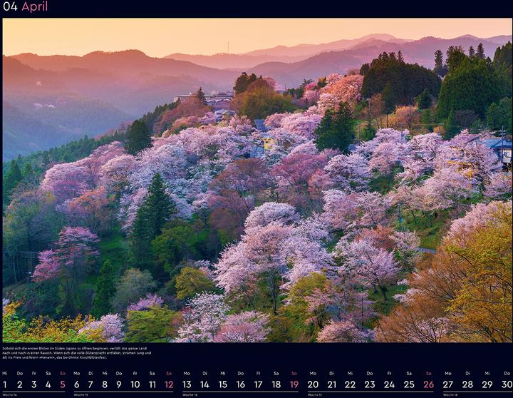 Produktbild Farbenprächtige Jahreszeiten - Wandkalender 2026 (60 x 45 cm, Harter Einband, Deutsch)