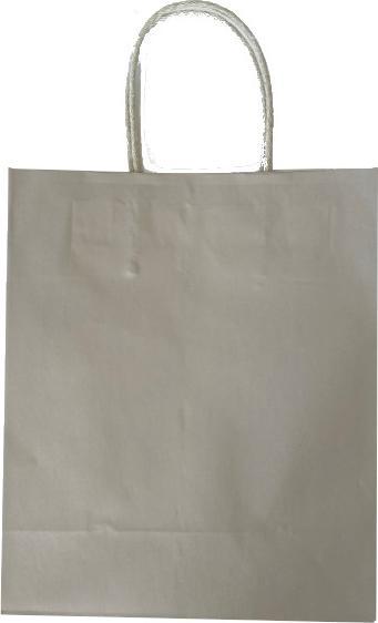 Produktbild Tragtasche Platin 22x27x10cm