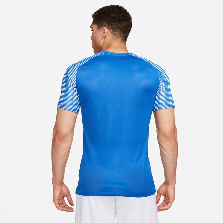 Actual product image Nike Dri-Fit Academy Men "S Soc Royal Blue/White/White L (L)