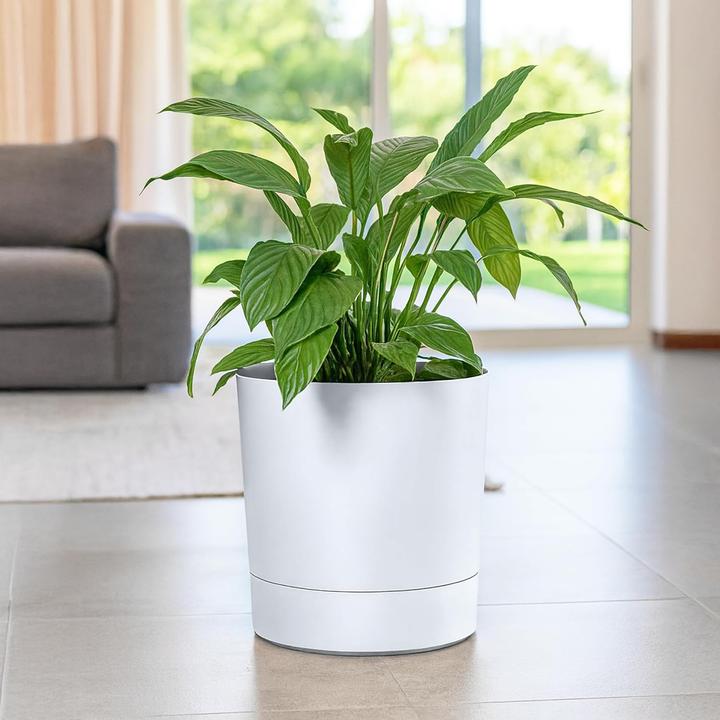 Produktbild Konzept Grosser Blumentopf mit Untersetzer
