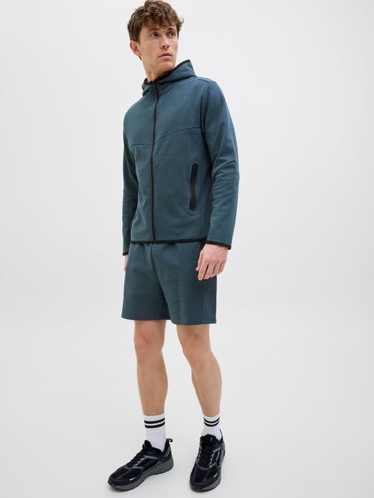 Produktbild Jack & Jones Regular Fit Regular Fit Shorts Regular Fit Shorts (XL)