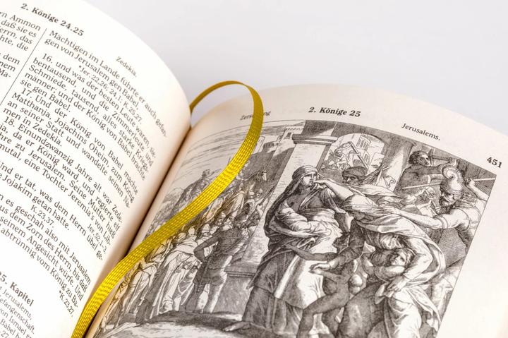 Image du produit Die Bibel (Geschenkausgabe, Cabra-Leder) (Allemand, Martin, Luther, 2019)