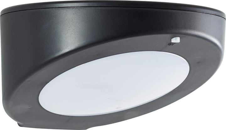 Brilliant Bardum (520 lm, IP44)