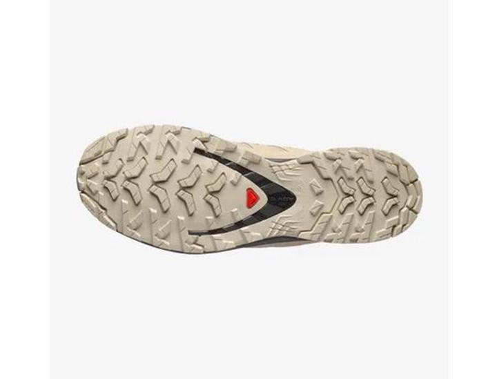 Actual product image Salomon XA Pro 3D v9 GTX Grau (44)