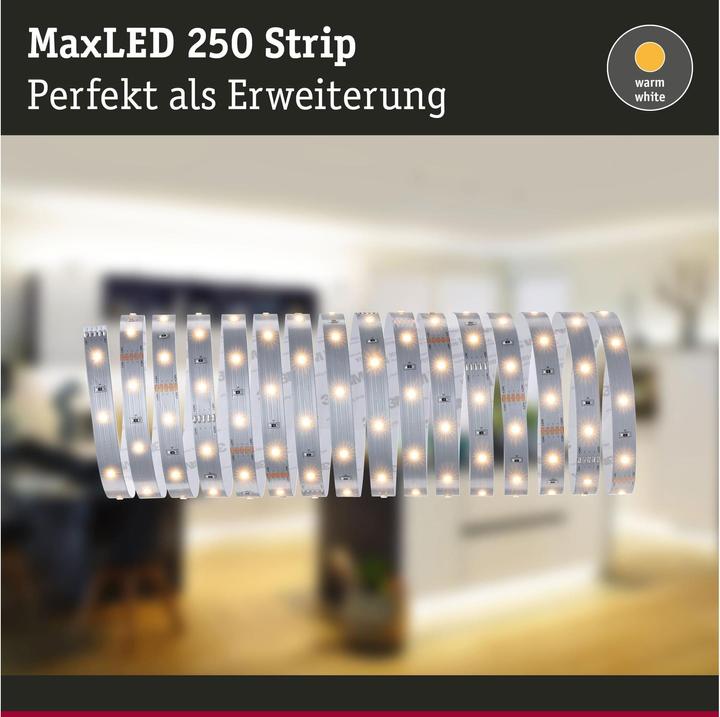 Actual product image Paulmann MaxLED (Warm white, 500 cm, Indoor)