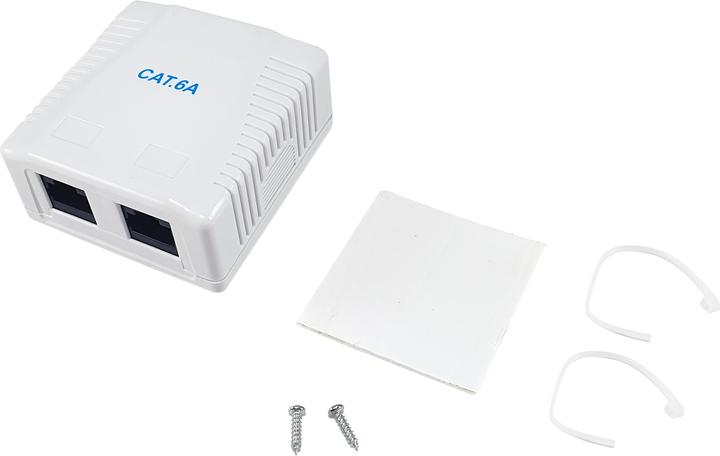 Actual product image equip Surface Mount Box Cat6A 2-Port 2x RJ45 UTP