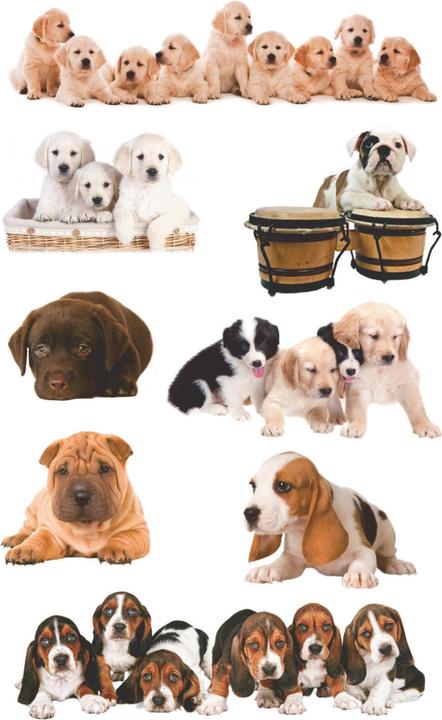 Image du produit Z-Design Sticker Creative