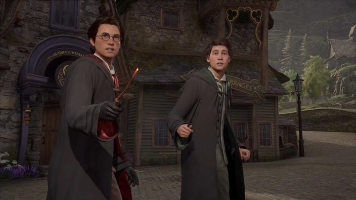Image du produit WB Hogwarts Legacy (Switch 2, Anglais)