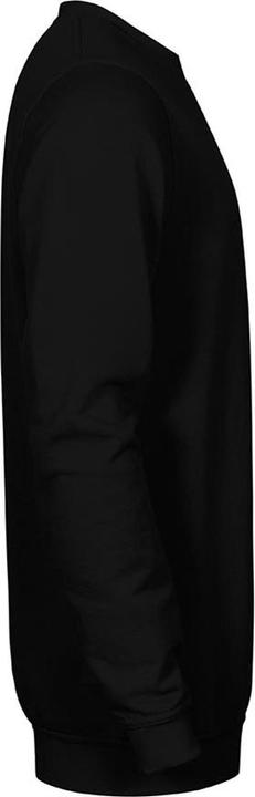 Produktbild Promodoro Sweatshirt (XL)