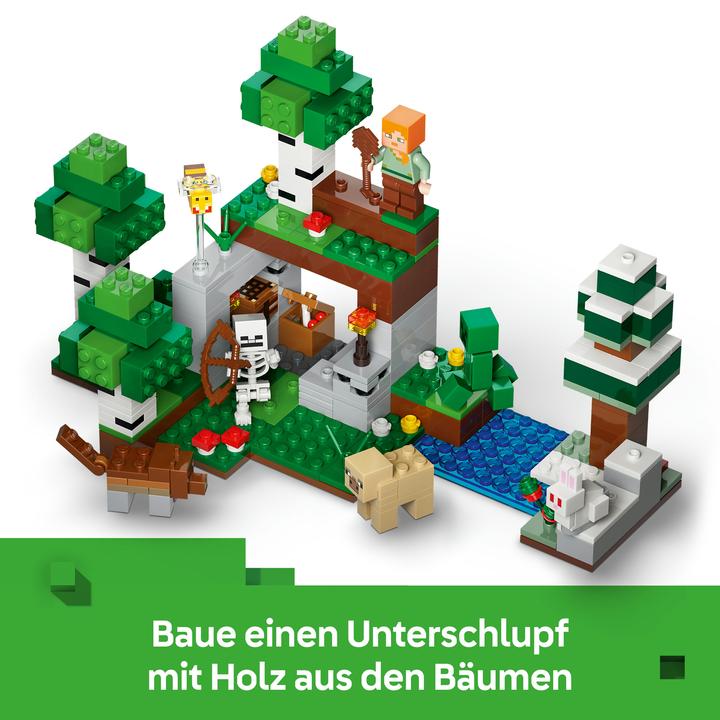 Actual product image LEGO First adventure at night (21593, LEGO Minecraft)
