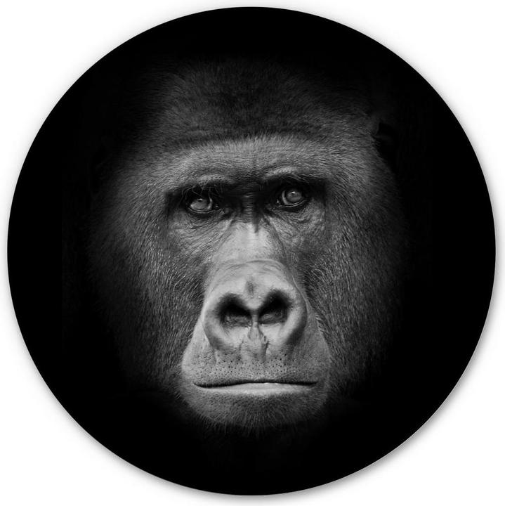 Image du produit Trenddeko gorille (45 x 45 cm)