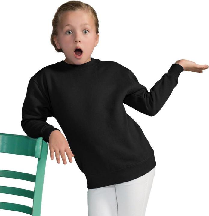 Produktbild Sg Pullover mit Rundhalsausschnitt (116)