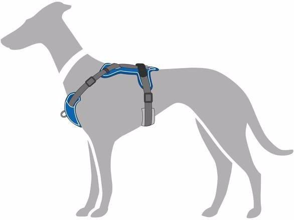 Actual product image Hunter Tableware Divo (S, Dog, General)