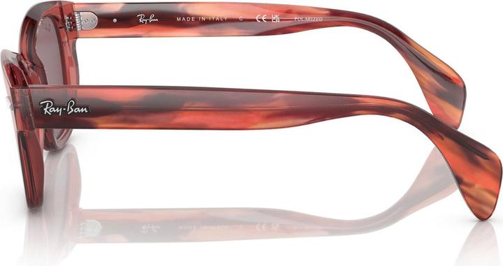 Image du produit Ray Ban RB0880S