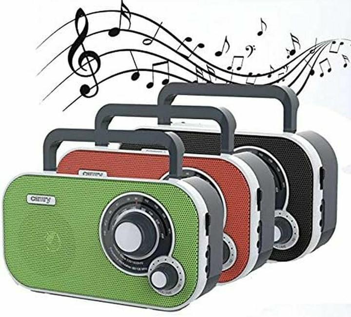 Actual product image Camry CR 1140 (FM)