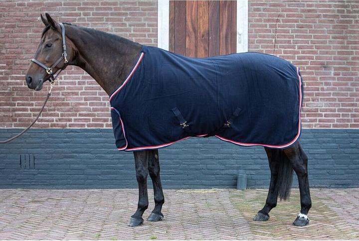 Image du produit Harry's Horse Master (185 cm)
