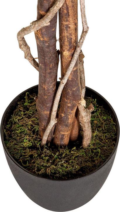 Produktbild Bümö Kunstpflanze Birkenfeige (ficus) (165 cm)