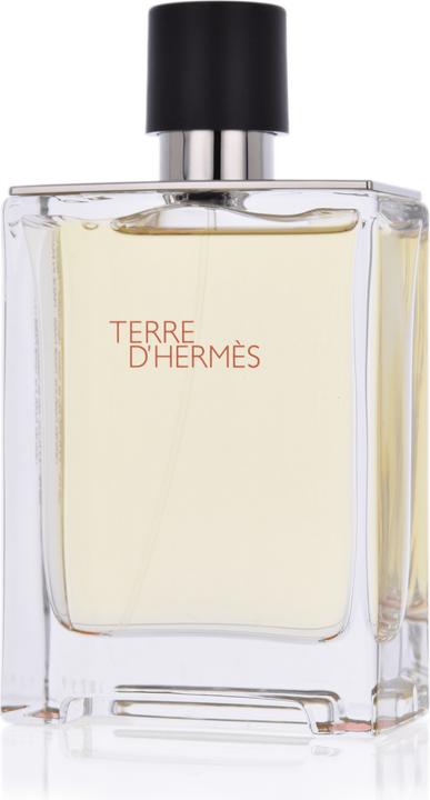 Hermès Terre d' (Eau de toilette, 100 ml)