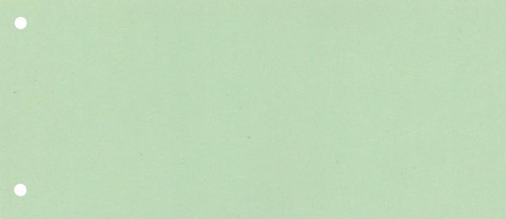Neutralware Trennstreifen 22,5 x 10,5 cm (B x H) 160g/m² Karton grün 100 St./Pack.