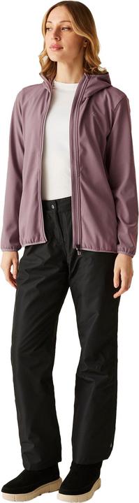 Produktbild Dare2b Iced Softshelljacke (38)