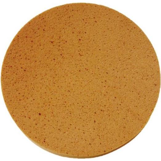 Eibenstock Schwammscheibe (Klett) (108686)