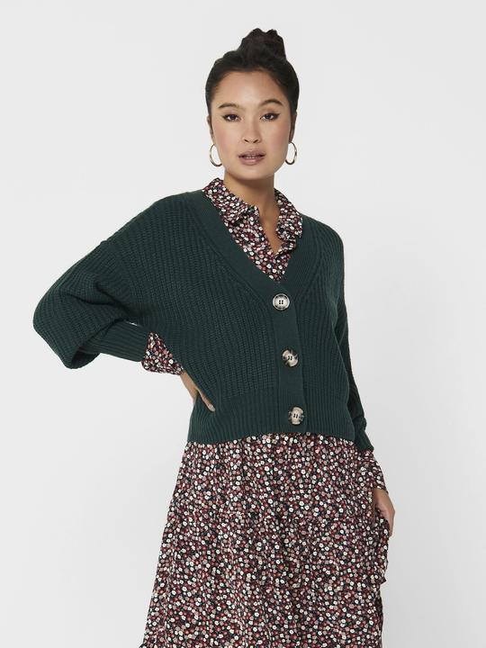 Produktbild JdY Kurzer Strickjacke (XXS)