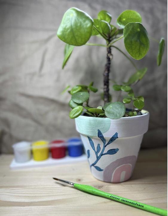 Produktbild EberhardFaber Temperafarben 6 x 25 ml, Set Basic (25 ml)