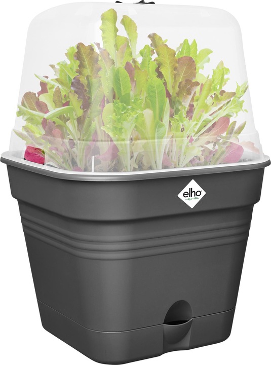 Actual product image Elho Green Basics Grow Pot Square Allin1