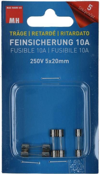 Max Hauri Fusible fin (Microfusible, 10 A, Paresseux)