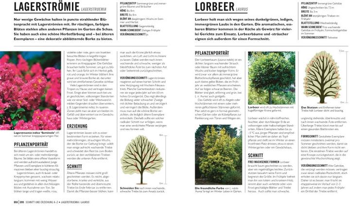 Produktbild Grünes Gartenwissen. Pflanzen richtig schneiden (Deutsch, Reinhard Ferstl, Stephanie Mahon, 2022)