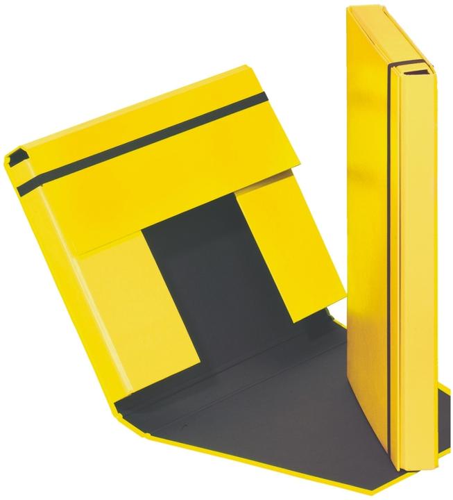 Produktbild Pagna Sammelbox A4 Basic Gummizugverschluss sortiert (A4, 1x)